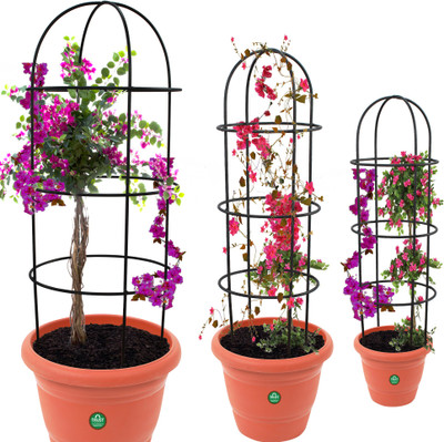 TrustBasket Obelisk Trellis for Plant Support - Set of 3 Plant Container Set(Pack of 3, Metal)