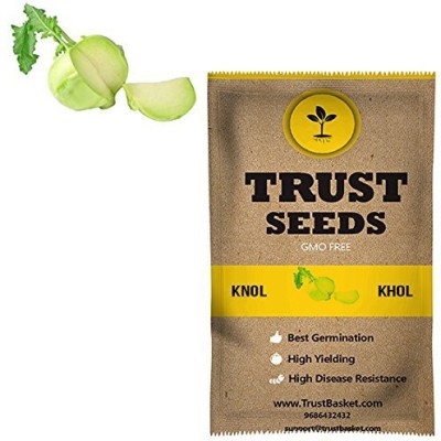 TrustBasket Knol Khol Vegetable Seeds (Gmo Free) Seed(20 per packet)