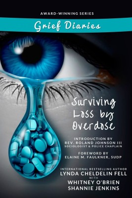 Grief Diaries Surviving Loss by Overdose(English, Paperback, Cheldelin Fell Lynda)