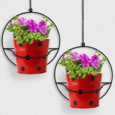 TrustBasket Wall Mount Round Flower Pot Stand - Set of 2 Plant Container Set(Pack of 2, Metal)