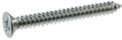 Quality BIt Steel Flat Head Sheet Metal Screw(25 mm Pack of 1)