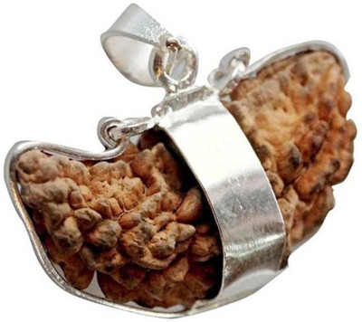 Takshila Gems Natural 1 Face Rudraksha Pendant in Silver 925 Lab Certified 1 Mukhi Rudraksha Locket Silver Silver Pendant