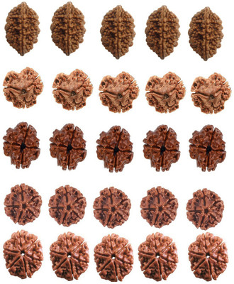 CHEZEL Combo of 2,3,4,5,6 Mukhi Rudraksha 5 Pieces Each 25 pcs lot (Brown) Shell