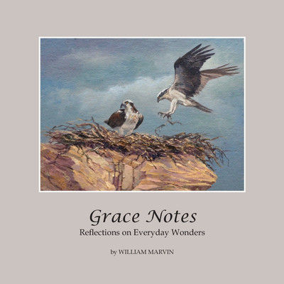 Grace Notes(English, Paperback, Marvin William)