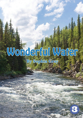Wonderful Water(English, Paperback, Gray Sophia)