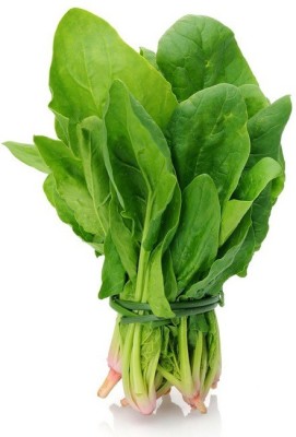 Bahan Traders spinach seeds Seed(100 per packet)