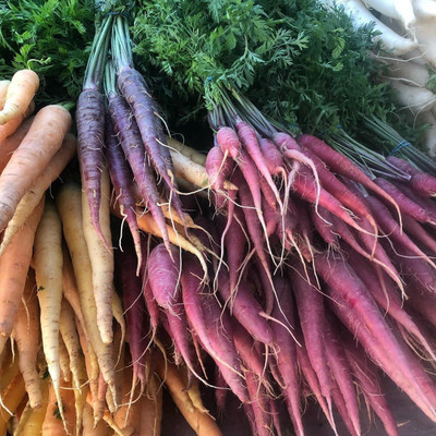 FLARE SEEDS SEEDS Combo of Orange Carrot and White Radish F1 Hybrid Seeds - 50 per pkt Seed(100 per packet)