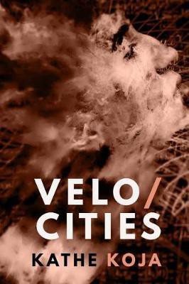 Velocities(English, Paperback, Koja Kathe)