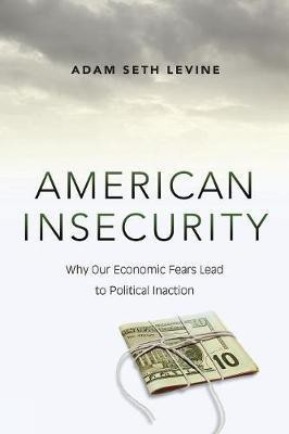 American Insecurity(English, Paperback, Levine Adam Seth)