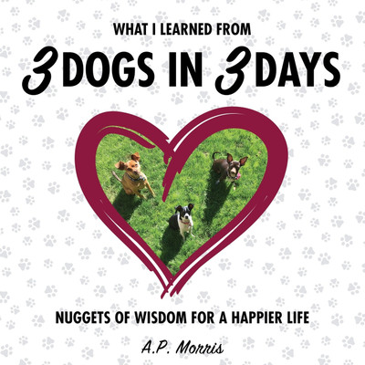 What I Learned from 3 Dogs in 3 Days(English, Paperback, Morris A P)