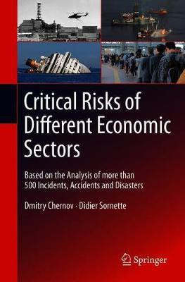Critical Risks of Different Economic Sectors(English, Paperback, Chernov Dmitry)