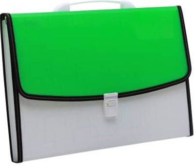 Neel Official Hand Bag A4 Size Plastic A4(Set Of 1, Green)