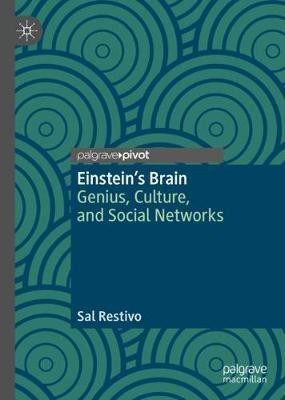 Einstein's Brain(English, Hardcover, Restivo Sal)