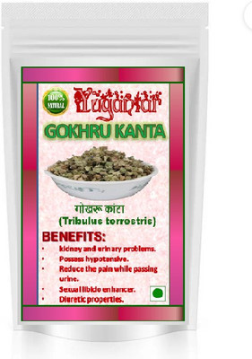 YUGANTAR GOKHRU KANTA Seed(400 per packet)