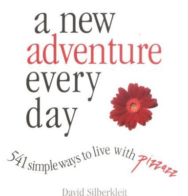 A New Adventure Every Day: 541 Simple Ways to Live With Pizzazz(English, Paperback, David Silberkleit)