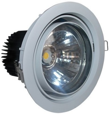 fortuneArrt 30 Watt LED COB Light Recessed Ceiling Lamp(White)