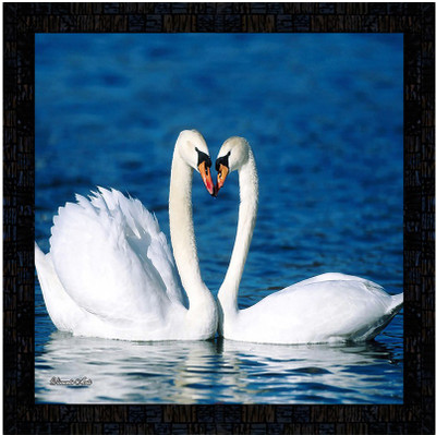 Poster N Frames Poster And Frame Swan Painting | Living Room | Best Gift For Home Decoration Digital Reprint 14 inch x 14 inch Painting(With Frame)