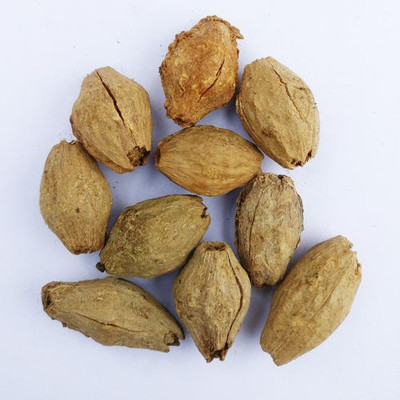 Sjeme Neem Malabar Seed Seed(5 per packet)