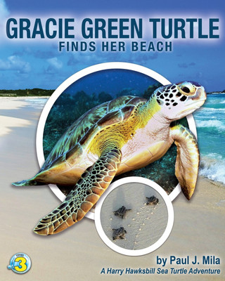 Gracie Green Turtle Finds Her Beach(English, Paperback, Mila Paul J)
