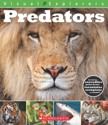 Predators(English, Paperback, Reynolds Toby)