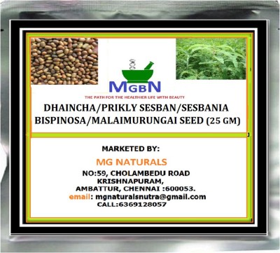 MGBN DHAINCHA/PRIKLY SESBAN/SESBANIA BISPINOSA/MALAIMURUNGAI SEED (25 GM) Seed(25 per packet)