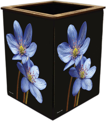 Poster N Frames 1 Compartments wooden Colorful Wooden Pen Stand(Multicolor)