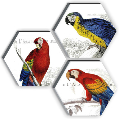 saf 6MM MDF HEXAGON PARROT Digital Reprint 21 inch x 21 inch Painting(With Frame, Pack of 3)