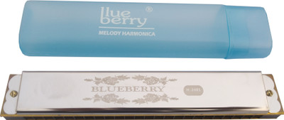 BLUEBERRY H-2401 24 Holes Key C Mouth Organ | 48 Tone | With Case For Professional, Beginners, Student Harmonica(Steel)