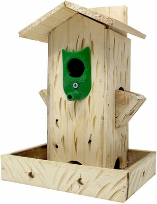 AMIJIVDAYA Wooden Wall mount Bird feeder Pack of 1 Window Bird Feeder Bird Feeder(Multicolor)