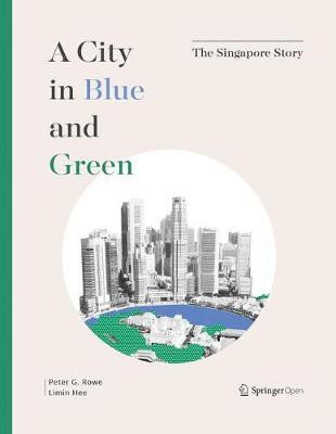 A City in Blue and Green(English, Hardcover, Rowe Peter G.)