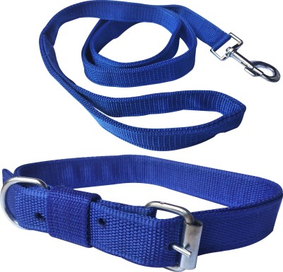 PEDIGONE Blue Color Good Quality 1 inch Dog Collar Belt, 1.5m-2m lengthy Dog Collar & Leash(Medium, Multicolor)