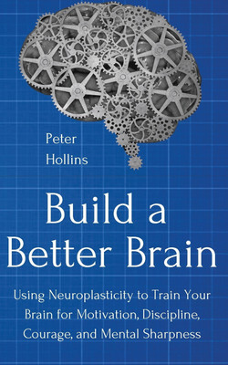 Build a Better Brain(English, Paperback, Hollins Peter)