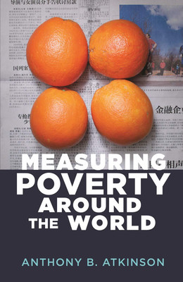 MEASURING POVERTY AROUND THE WORLD(English, Hardcover, ANTHONY B. ATKINSON)