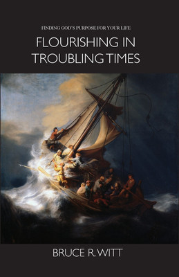 Flourishing in Troubling Times(English, Paperback, Witt Bruce R)
