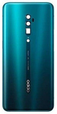 NICE Oppo Reno 10X Zoom Back Panel(Green)