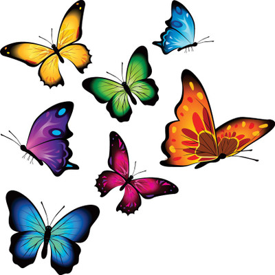 Flipkart SmartBuy 57 cm Transparent Art 625 Self Adhesive Sticker(Pack of 1)
