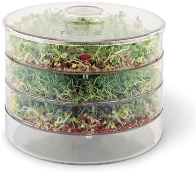 Toxen Plastic Sprout Maker  - 500 ml(Clear)