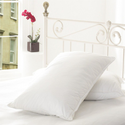 Changers Microfibre Solid Sleeping Pillow Pack of 2(White)