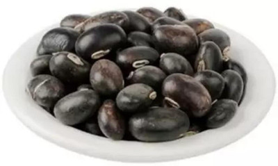 WILD FOREST kaunch beej seeds Seed(400 per packet)