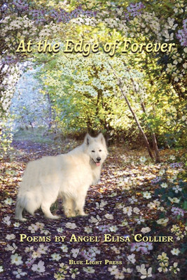 At The Edge Of Forever(English, Paperback, Collier Angel Elisa)