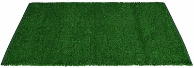 CHETANYA LOOMTEX New Artificial grass Carpet size: 185 Artificial Turf Sheet