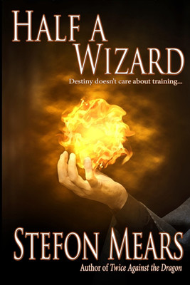 Half a Wizard(English, Paperback, Mears Stefon)