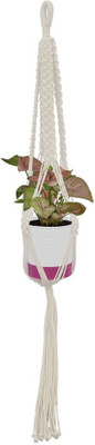 TrustBasket Athena Macrame Hanger - single Plant Container Set(Plastic)