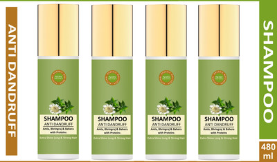 Now Organics Amla & Bhringraj Anti-Dandruff Shampoo for Extra Shiny, Long & Strong Hairs (Pack of 4 Shampoo)(480 ml)