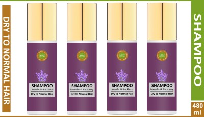 Now Organics Lavender & Blackberry Shampoo for Extra Shiny, Long & Strong Hairs (Pack of 4 Shampoo)(480 ml)