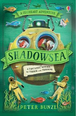 Shadowsea(English, Paperback, Bunzl Peter)