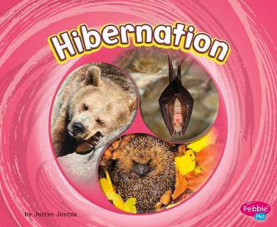 Hibernation(English, Paperback, Jaycox Jaclyn)