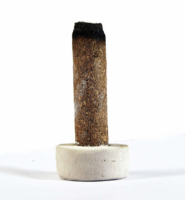 https://rukminim1.flixcart.com/image/400/400/k4d27ww0/insect-repellent/y/b/y/30-desi-cow-dung-dhoop-batti-organic-incense-stick-for-mosquito-original-imafj6pkesf3zmf9.jpeg?q=90