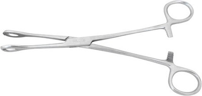 Agarwals Sponge Holding Forcep_1 Sponge Forceps