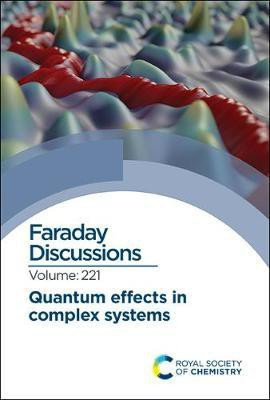 Quantum Effects in Complex Systems(English, Hardcover, unknown)